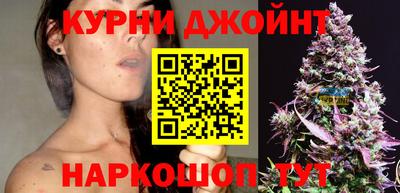 гашик Шебекино