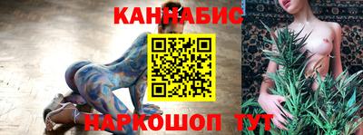 гашик Шебекино