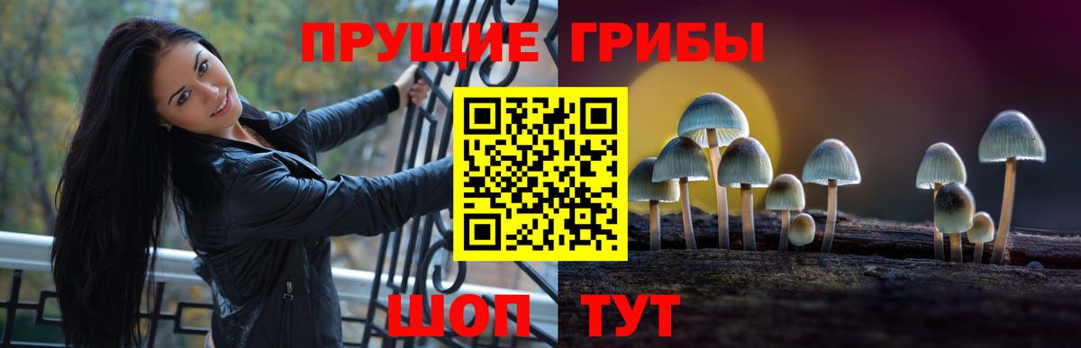 Галлюциногенные грибы Cubensis  Вход с VPN  Кызыл 
